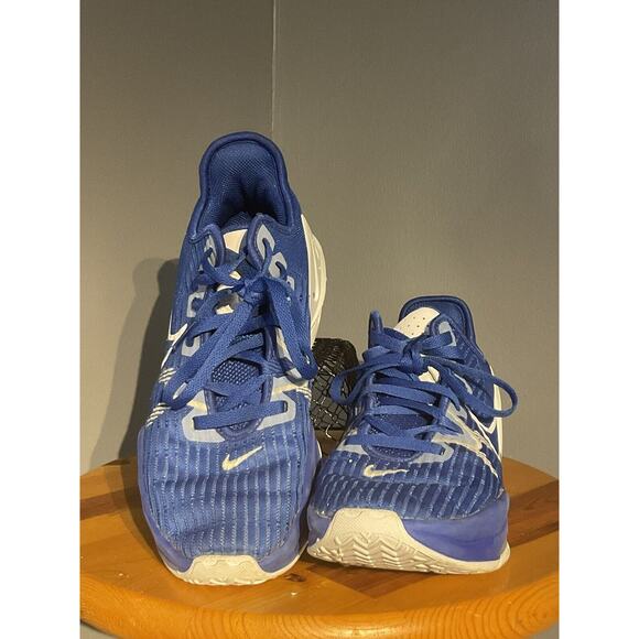 Nike Lebron Witness 6 TB game Royal Shoes Men’s Size 8 Basketball main image 4